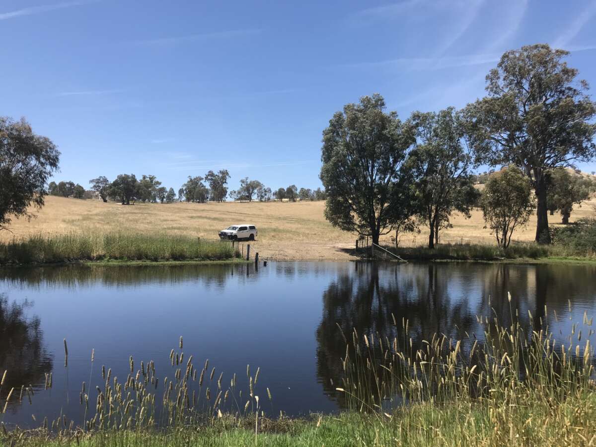 Enhanced farm dam