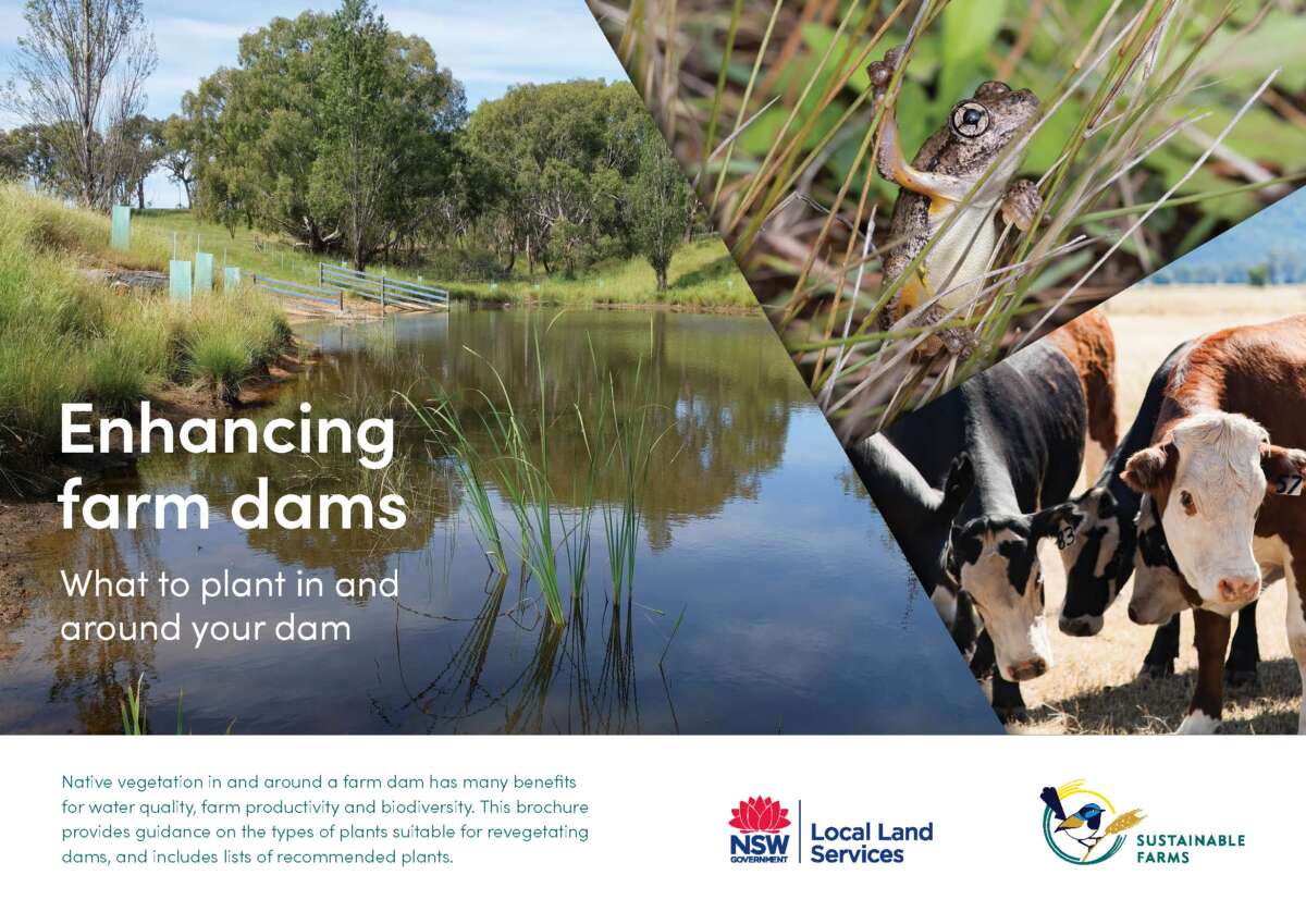 Cover of farm dam planting guide