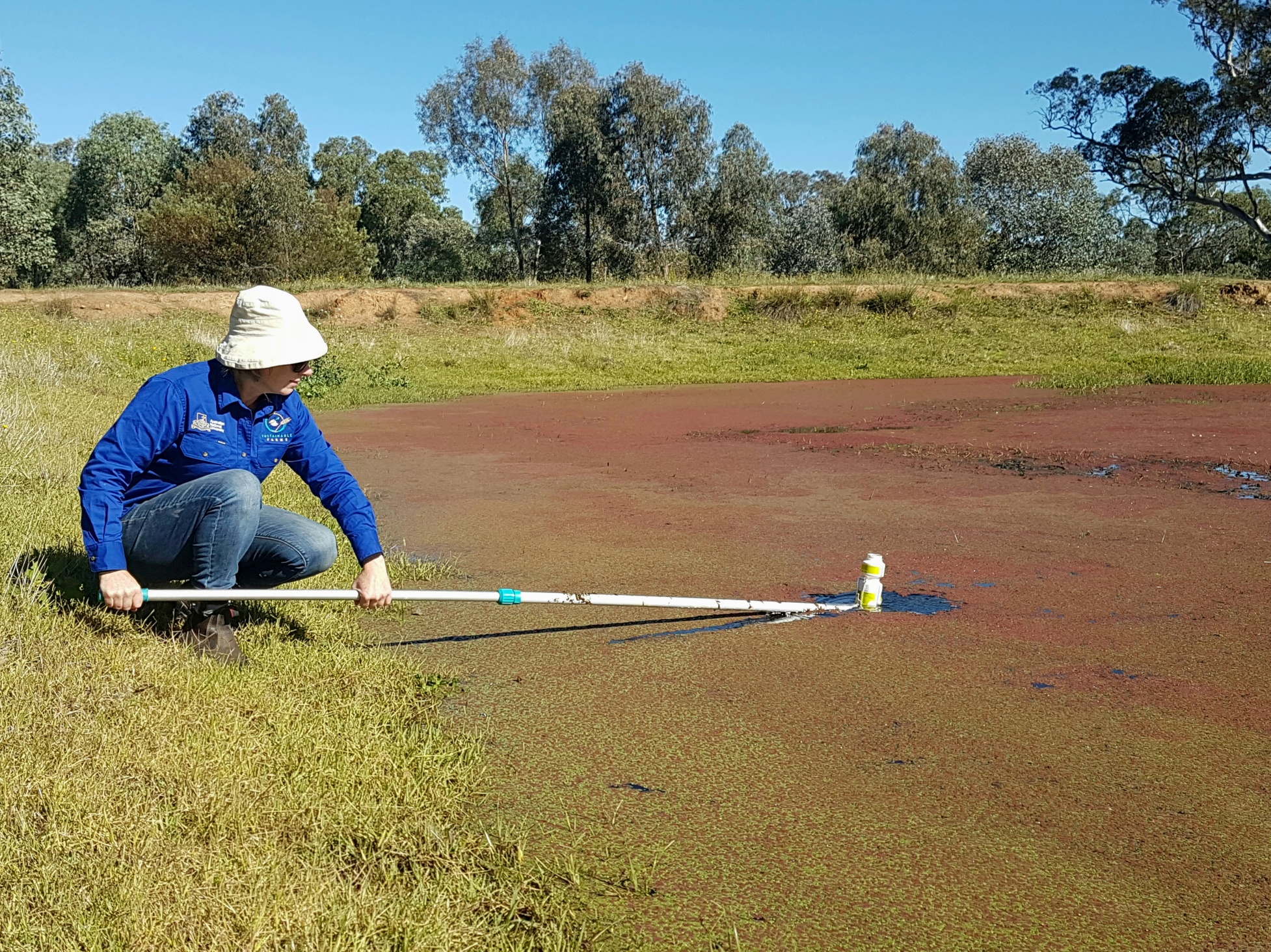 Photo of SF researcher sampling water