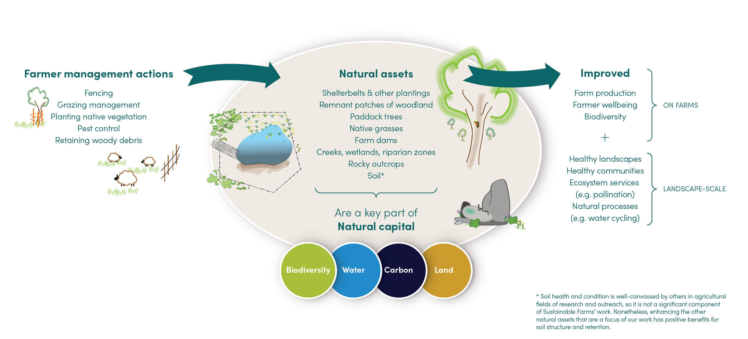 Diagram showing the relationship between natural capital and natural assets
